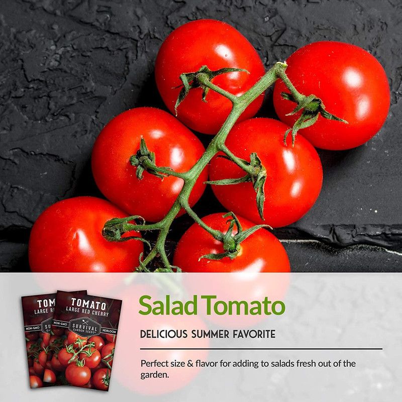 VibeX ® XXL-235 Large Red Cherry Tomato Seeds Seed  (200 per packet)