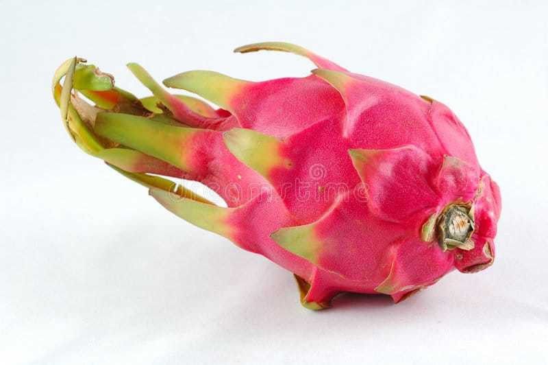 Oliver hybrid dragon fruit seed Seed  (57 per packet)