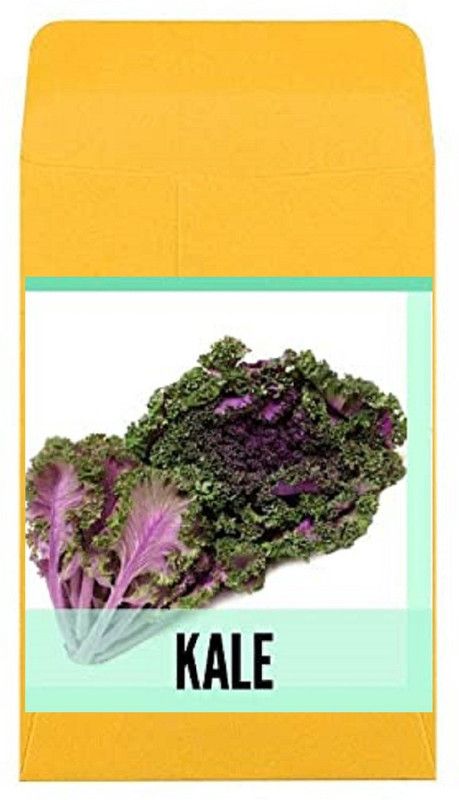 CYBEXIS Guarenteed Germination Kale Seeds2000 Seeds Seed  (2000 per packet)