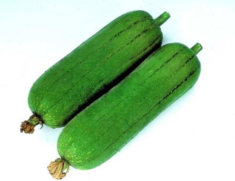 UGRA Sponge Gourd: CYLINDER Seed  (120 per packet)
