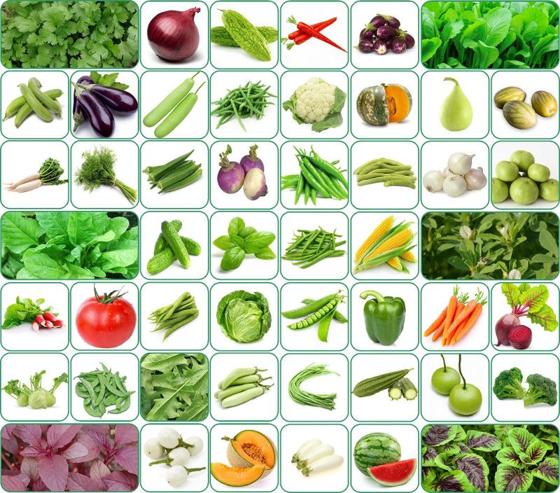 Aero Seeds 50 variety vegetable seeds combo pack with instruction manual. Seed  (50 per packet)