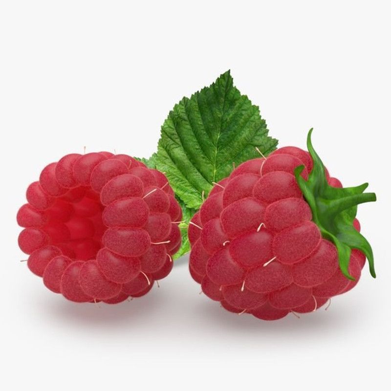 PLANTZON Raspberry fruit Seed  (20 per packet)