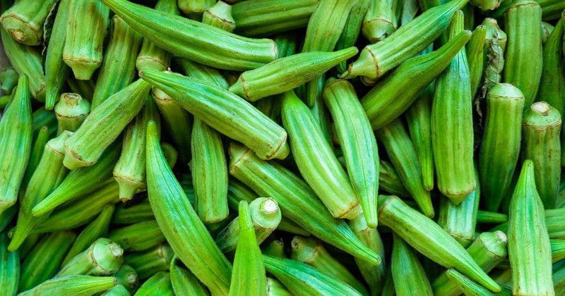 Paudha Bhendi Oakra Seed  (10 per packet)