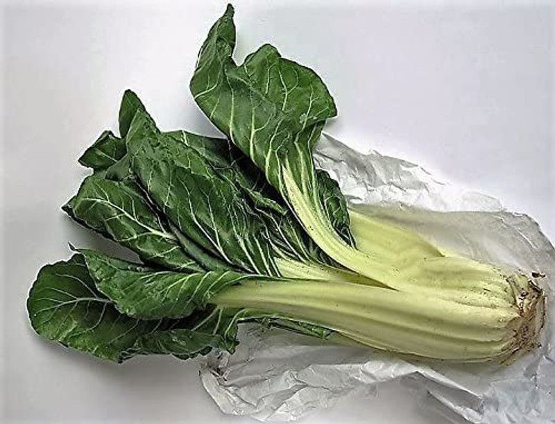 WILLVINE UCULLUS SWISS CHARD Beta Vulgaris White Perpetual Spinach Vegetable Seeds Seed  (500 per packet)