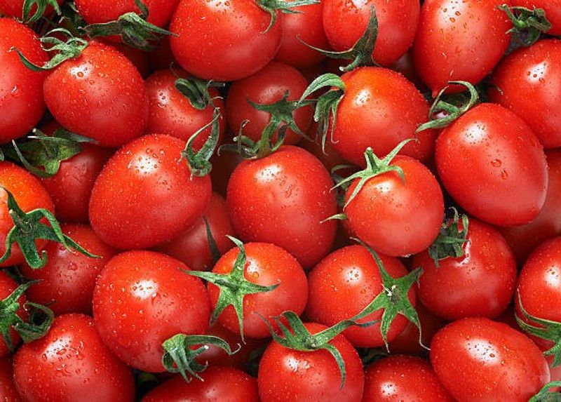 Splorias F1 Tomato Seed  (40 per packet)