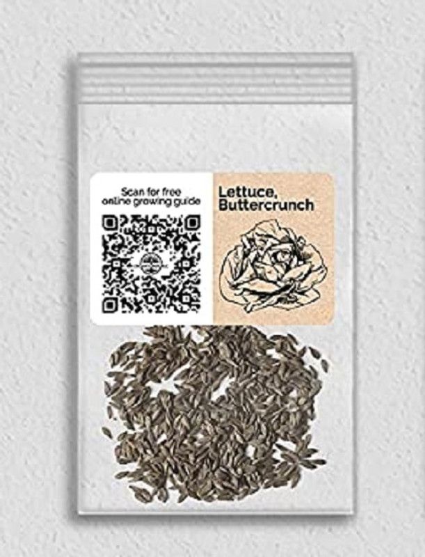 WILLVINE Lettuce Seed  (200 per packet)