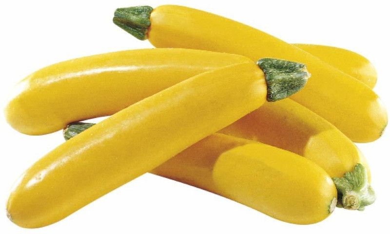Qualtivate ™ Zucchini Yellow Long Seeds(90 Seeds) Seed  (90 per packet)