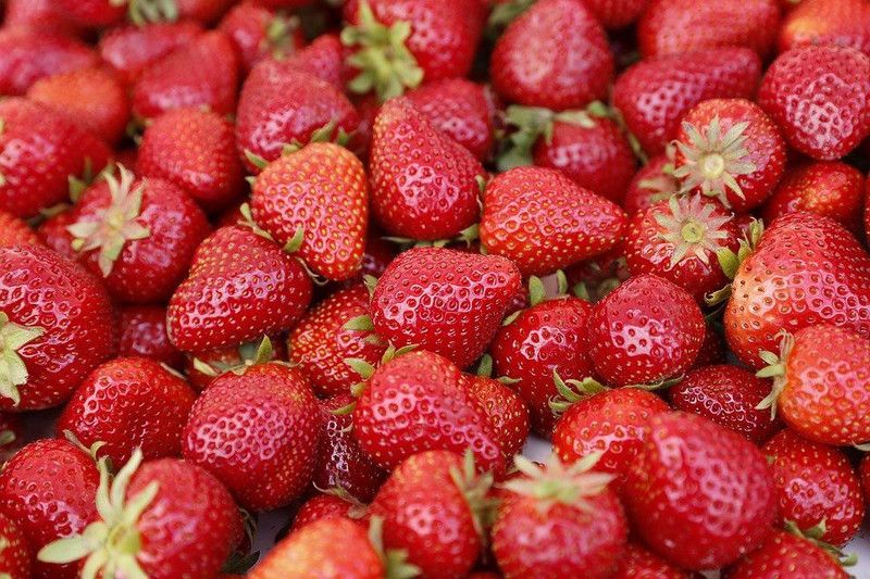 PMB Strawberry Seed  (30 per packet)