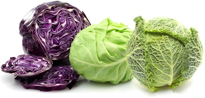 VibeX XXL-103-Mixed Cabbage Seeds Combo Seed  (90 per packet)
