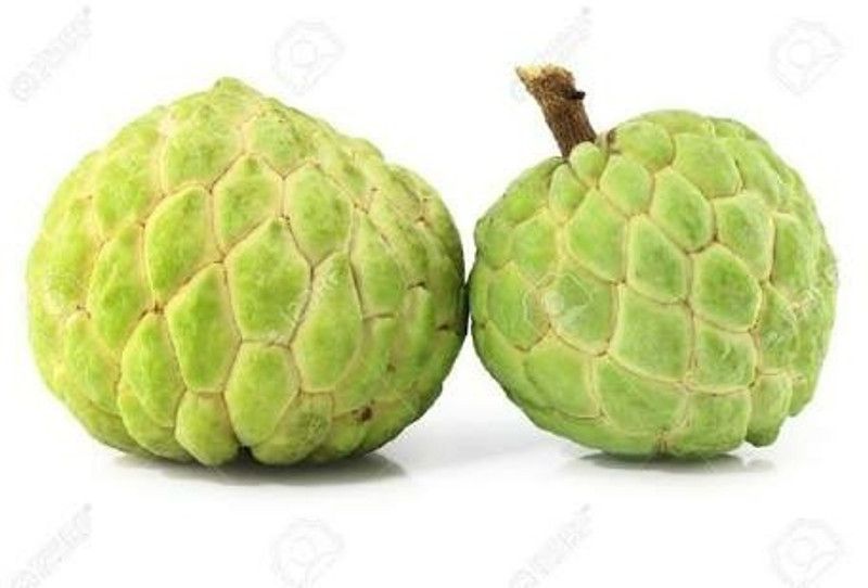 Mozette Custard apple fruit (setaphal) Seed  (15 per packet)