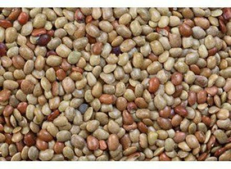 Urancia Kulathi - 100Gram for Pooja Seed  (1 per packet)