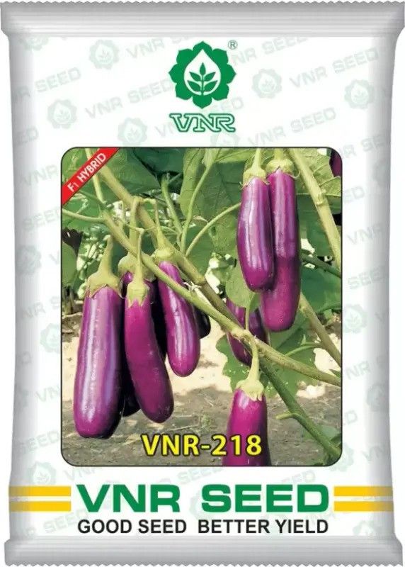 THAMMAR vnr 218 hybrid brinjal Seed (10 g) Seed  (10 per packet)