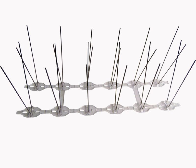 RIDDHI SIDDHI Bird Spike