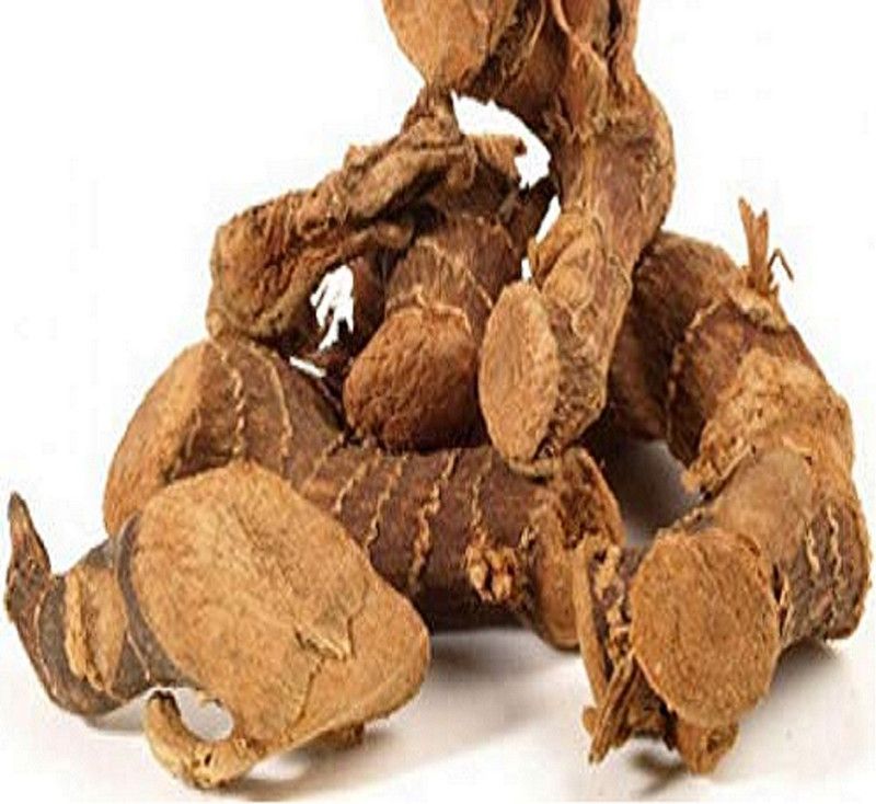 megoodluk KULANJAN Seed  (1 per packet)