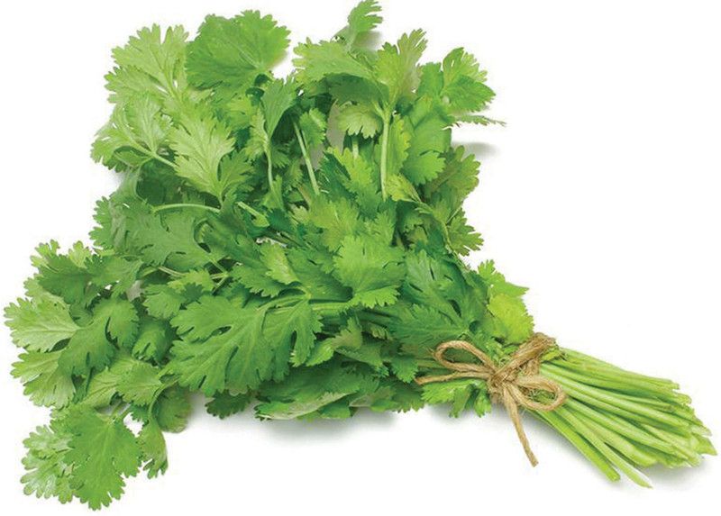 XOLDA Coriander Seed  (30 per packet)