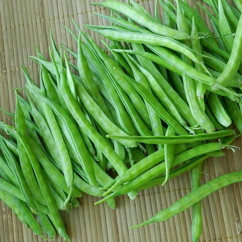 XOLDA Hybrid Cluster Beans Seed  (69 per packet)