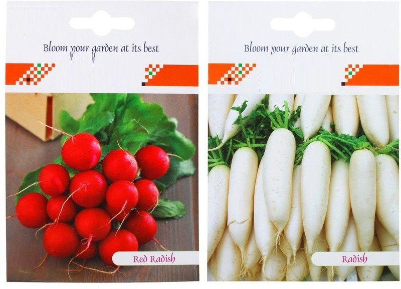 VibeX AFC-528 Radish Long White Veg and Radish Red Round Veg Combo Seeds Seed  (200 per packet)