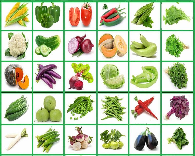 VibeX vegetable seed Seed  (2100 per packet)