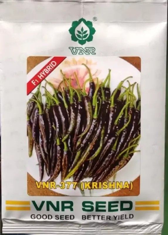 NV LIVE VNR Chilli Seed (10 g) Seed  (20 per packet)