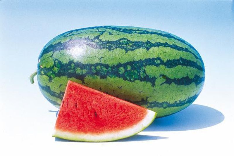 Mozette Watermelon Seed  (10 per packet)