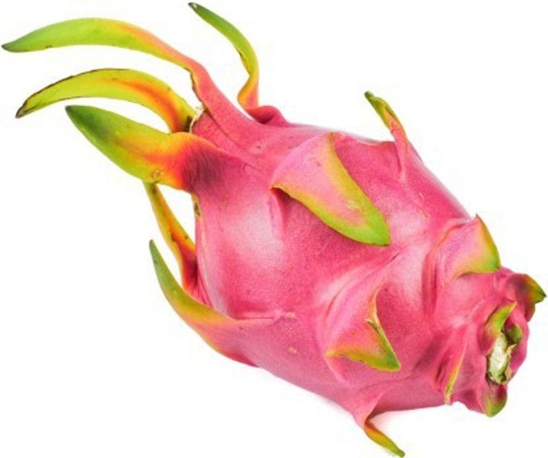 Nodoc Dragon Fruit Seed  (60 per packet)