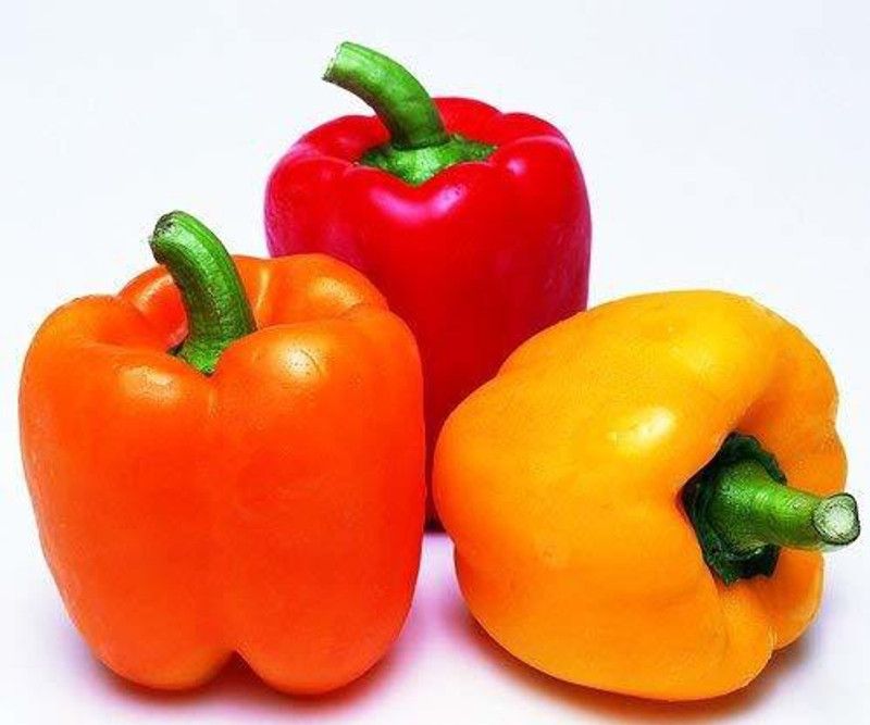 KANAYA Capsicum F1 Hybrid Vegetable Seeds Seed  (900 per packet)