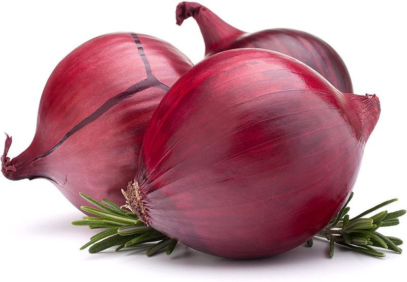 WILLVINE GBPUT-1098 ORGANIC RED ONION SEEDS 100%PURE Seed  (1000 per packet)