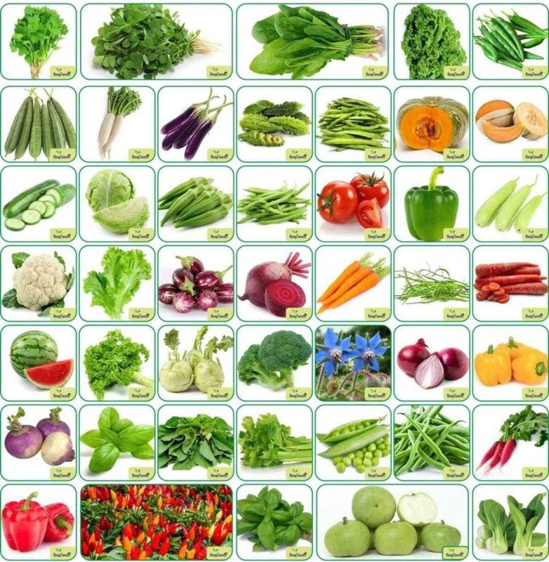 ishika ishika 45 varieties seeds(organic&hybrid)fruits and vegetables seeds Seed  (2454 per packet)