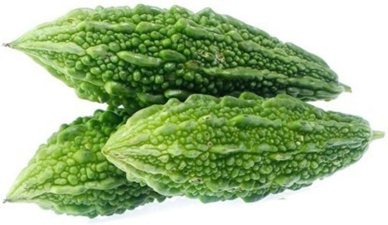 Paudha Bittergourd plant Seed  (40 per packet)