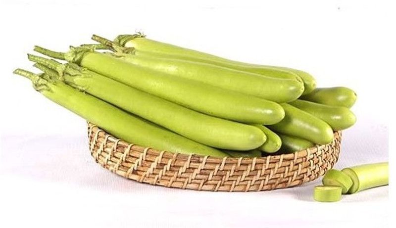 Nodoc Brinjal green long Seed  (36 per packet)