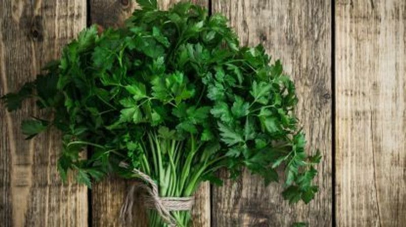 Mozette Organic Parsley Seed  (41 per packet)