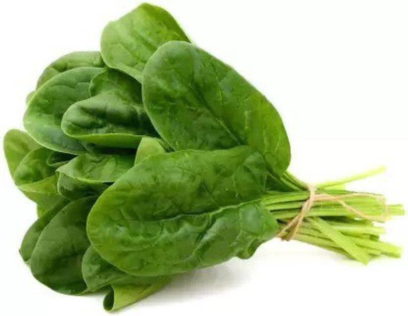 Chalisa Palak, Spinach Seed  (110 per packet)