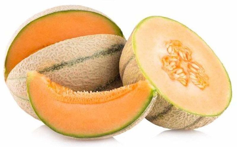 JRYU Kharbuja F1 Hybrid Seed  (375 per packet)