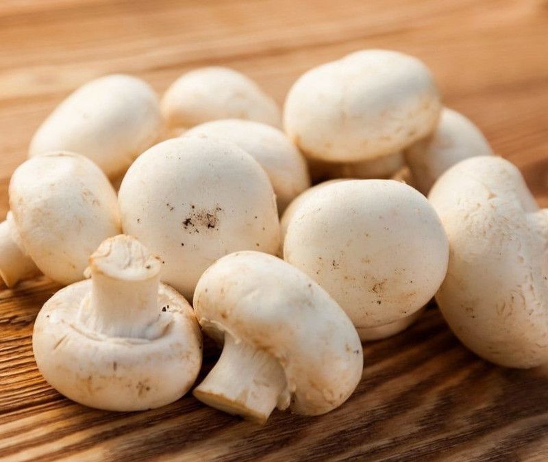 Paudha Mushroom Herb Seed  (56 per packet)