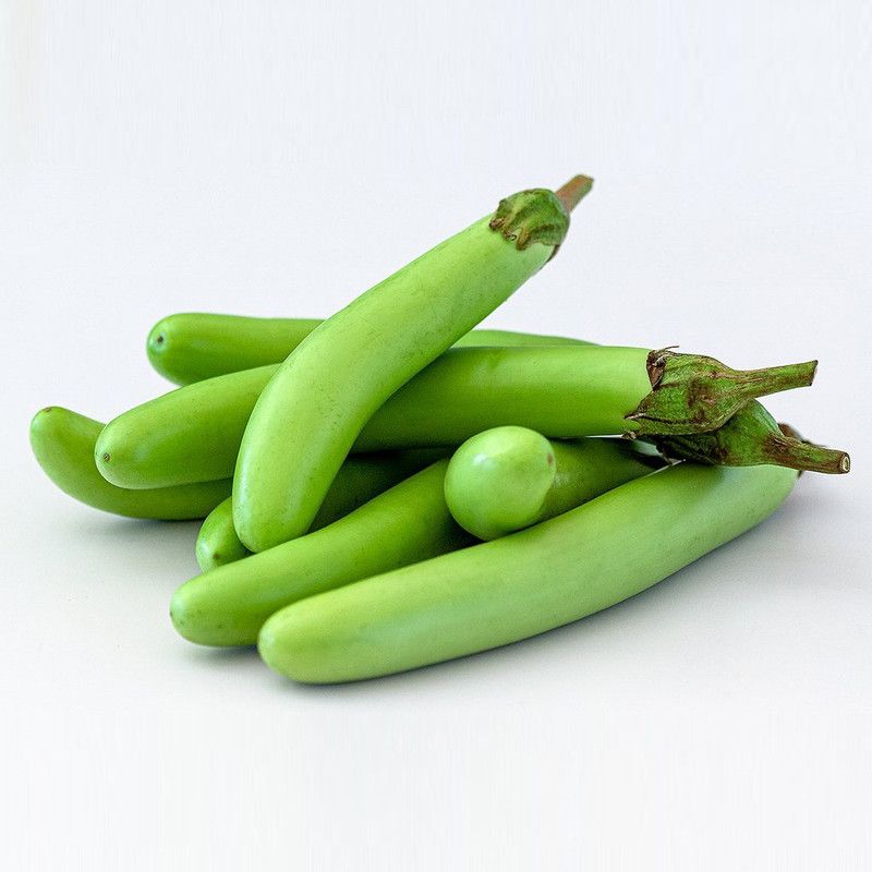XOLDA Hybrid Brinjal green long Seed  (64 per packet)