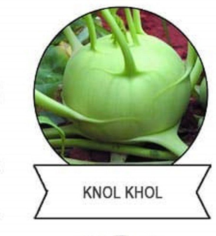 Qualtivate ® F1 Hybrid Knol Khol,Kholrabi Seeds(125 Seeds) Seed  (125 per packet)