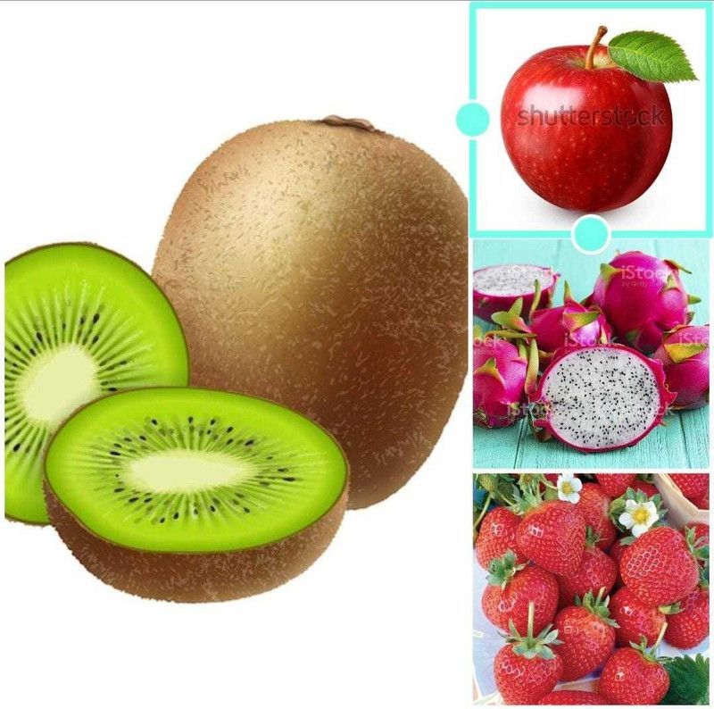 Oliver apple,litchi,kiwi,dragon fruit seeds Seed  (77 per packet)