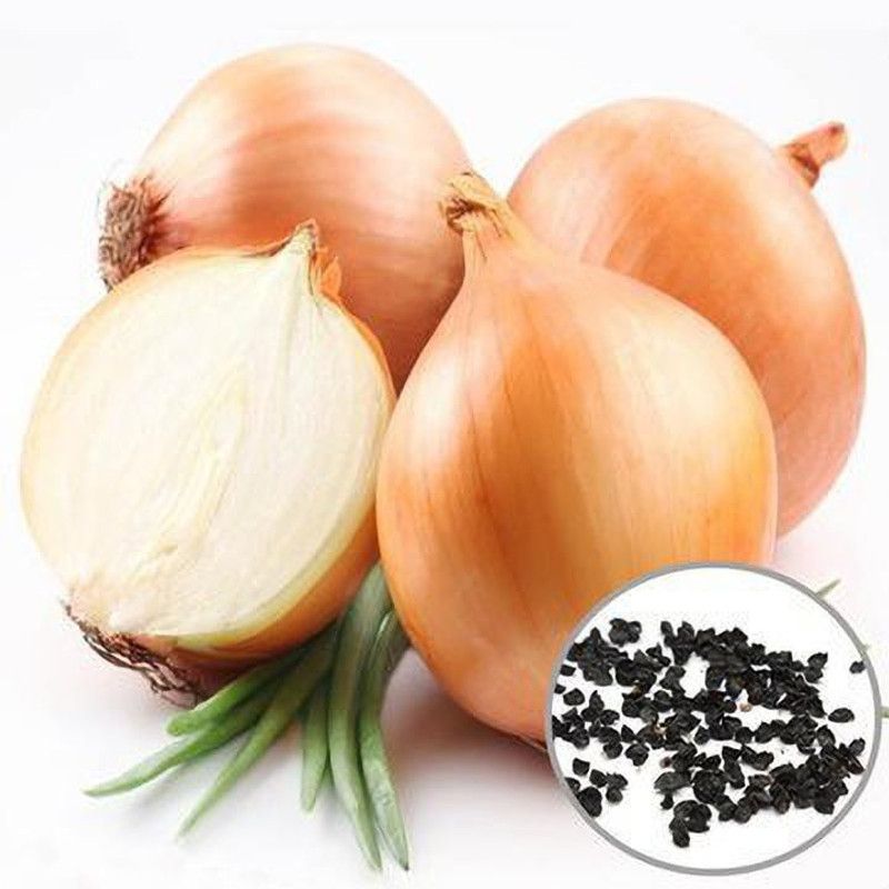 Earth Angels Giant Yellow Onion Seeds Allium Cepa Vegetable Seed  (100 per packet)