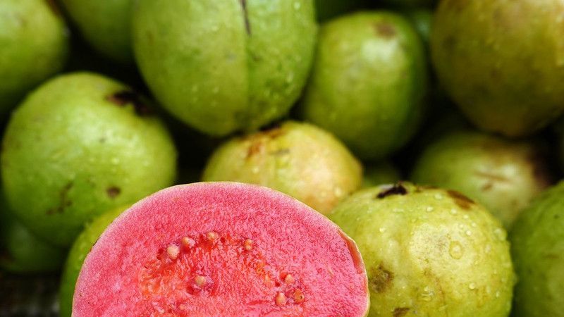 Nodoc Guava Hybrid Seed  (45 per packet)