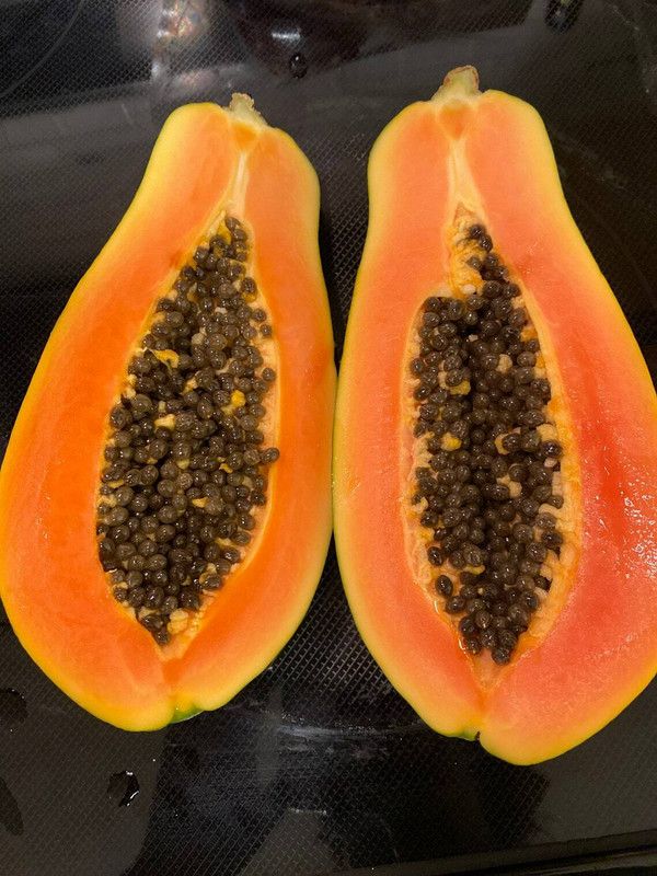 PUTZMA Papaya Seeds Seed  (150 per packet)