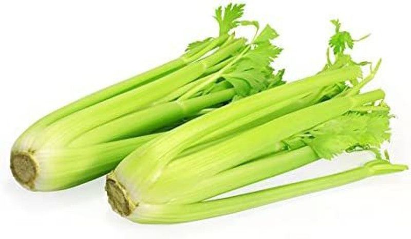 CYBEXIS LX-81 - Celery Utah Tall - (2250 Seeds) Seed  (2250 per packet)