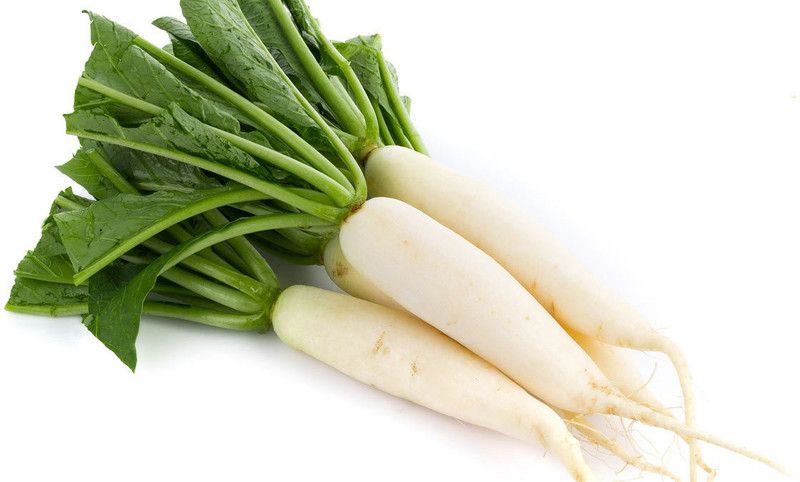 Nodoc Radish Vegetable Seed  (15 per packet)