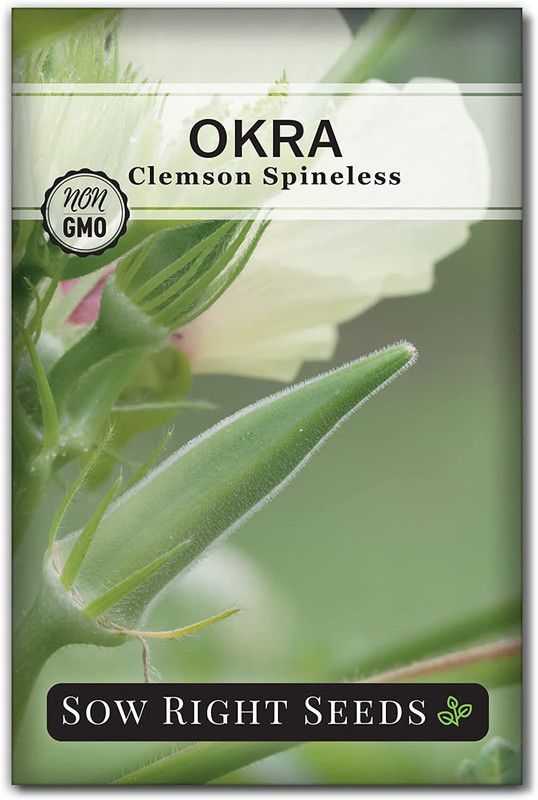 MKR Enterprises Lady Finger Seed  (670 per packet)
