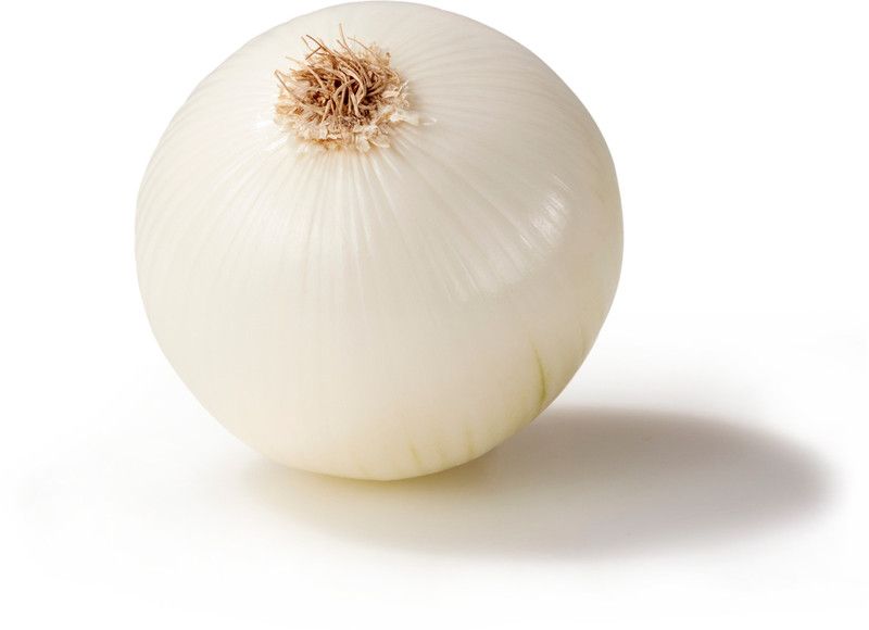 XOLDA Hybrid Onion White Seed  (64 per packet)