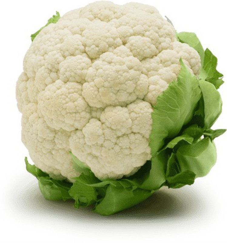 ANDOR High Quality White Cauliflower Seed  (1000 per packet)