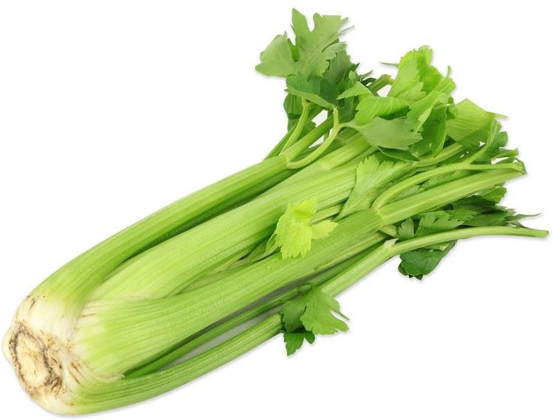 ENTENT Organic Green Celery Vegetable Seed  (50 per packet)