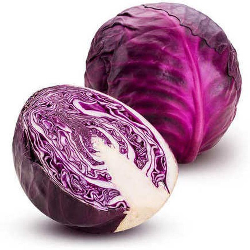XOLDA Red Cabbage Seed  (11 per packet)