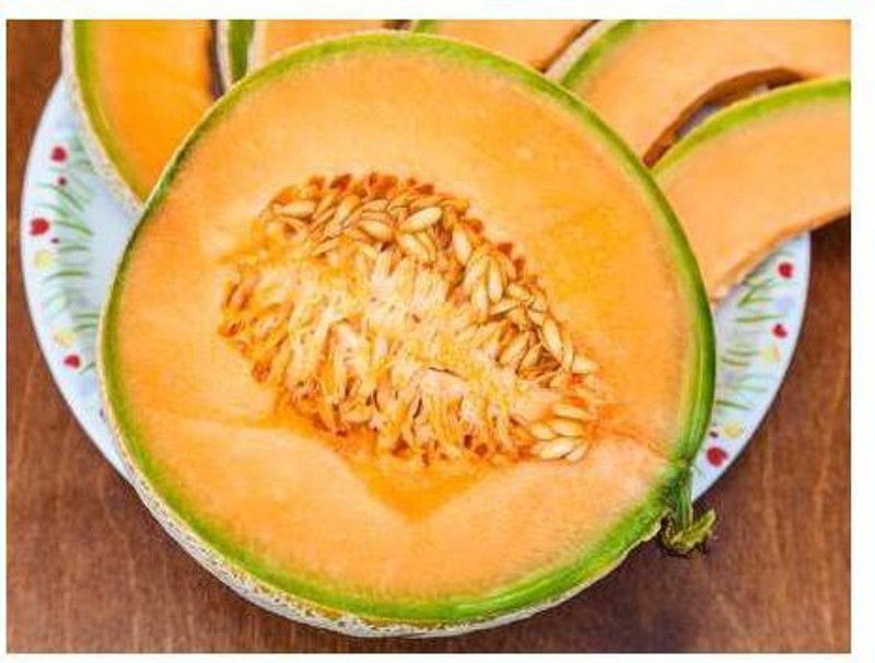 Paudha MUSKMELON Seed  (50 per packet)