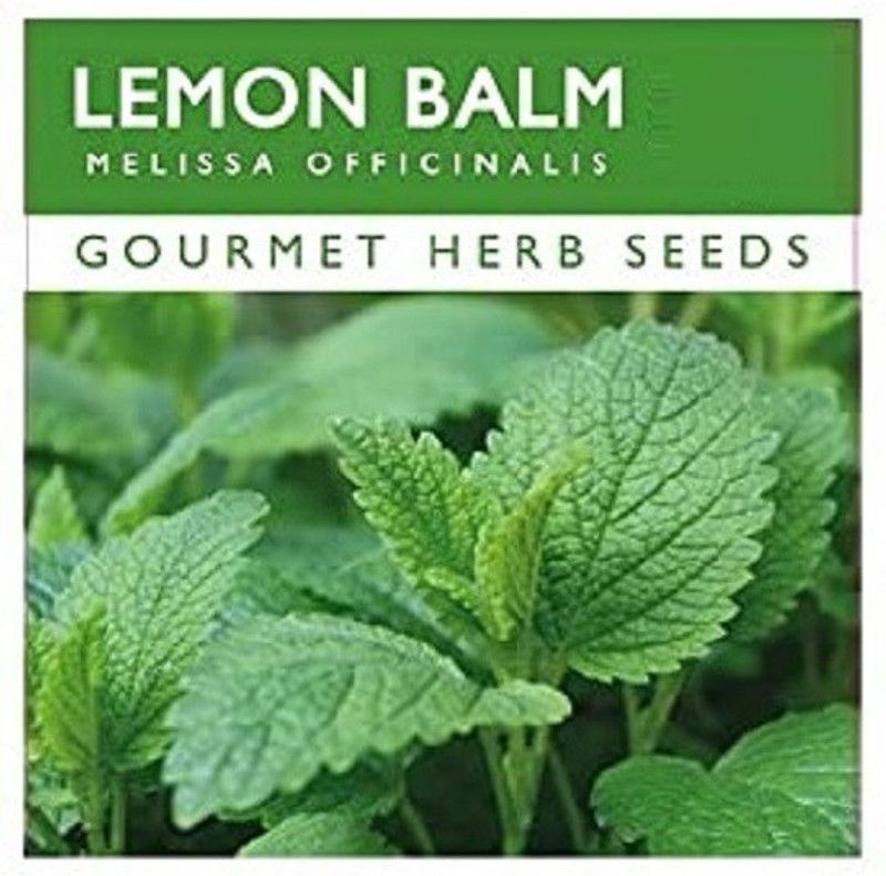 CYBEXIS Organic Lemon Balm Seeds400 Seeds Seed  (400 per packet)