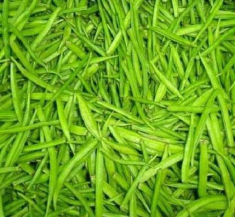 Chalisa Cluster Beans, Gaur Seed  (66 per packet)